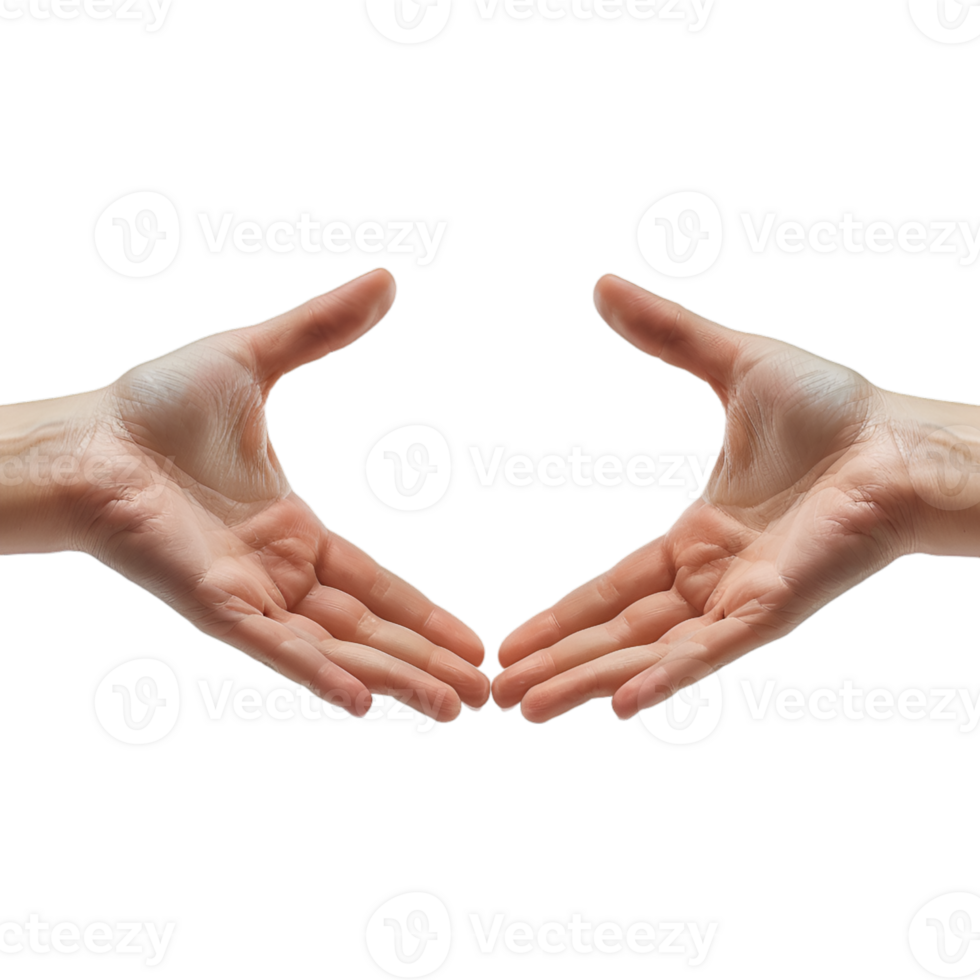 hand gestures on a transparent background png