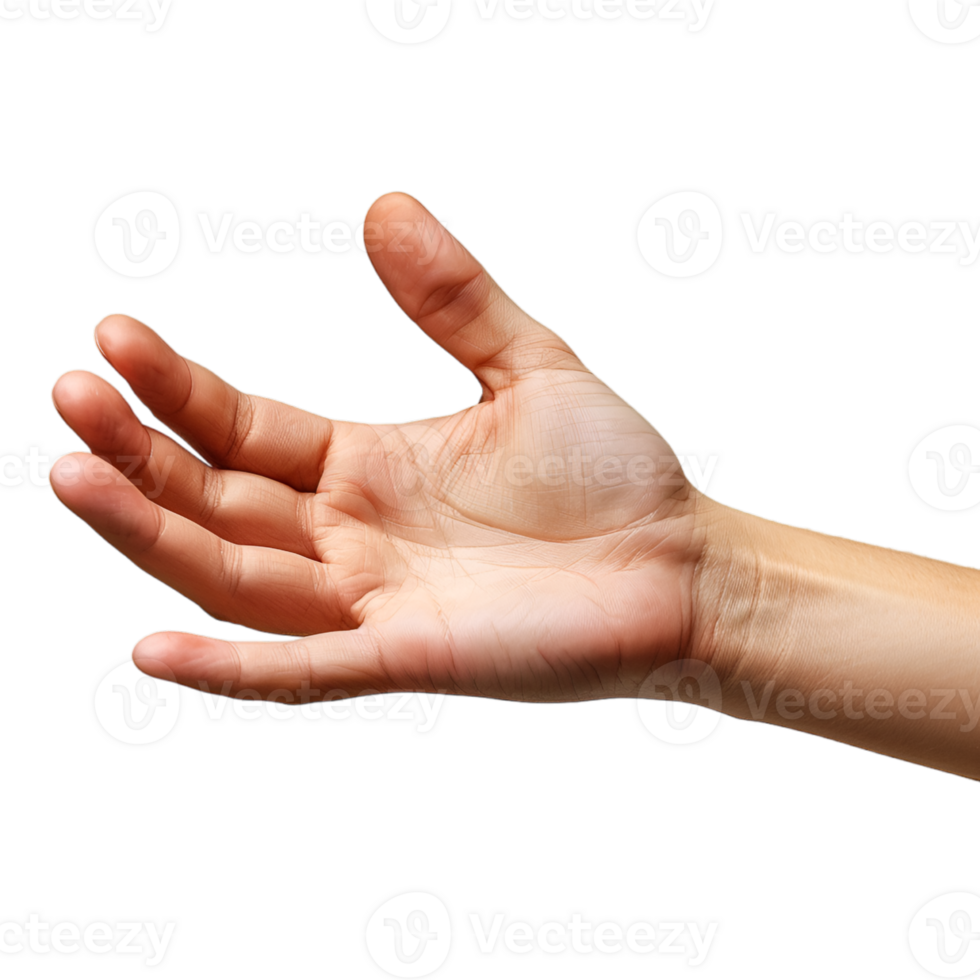 hand gestures on a transparent background png