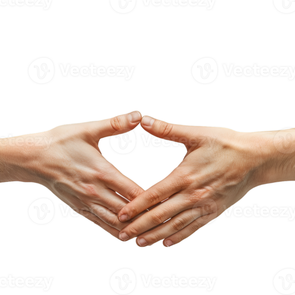 hand gestures on a transparent background png