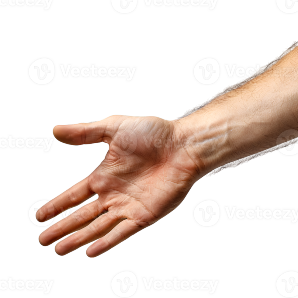 hand gestures on a transparent background png