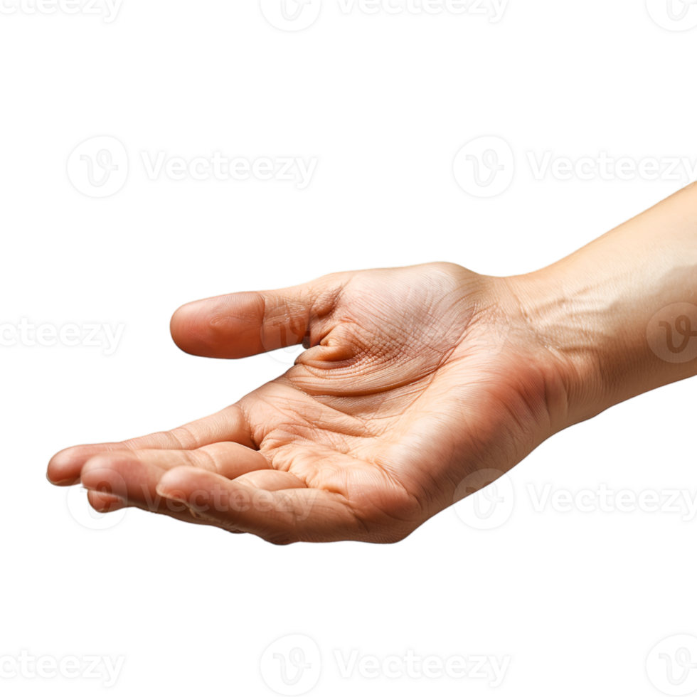 hand gestures on a transparent background png