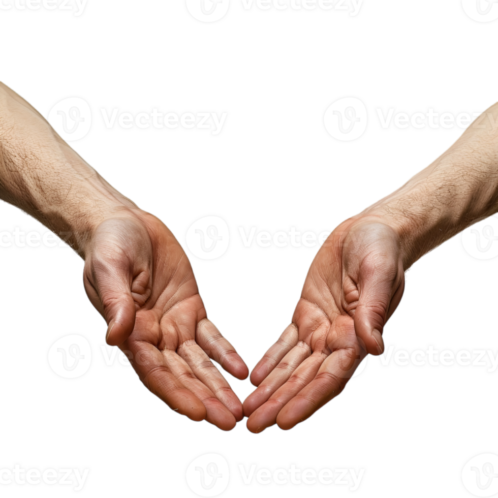 hand gestures on a transparent background png