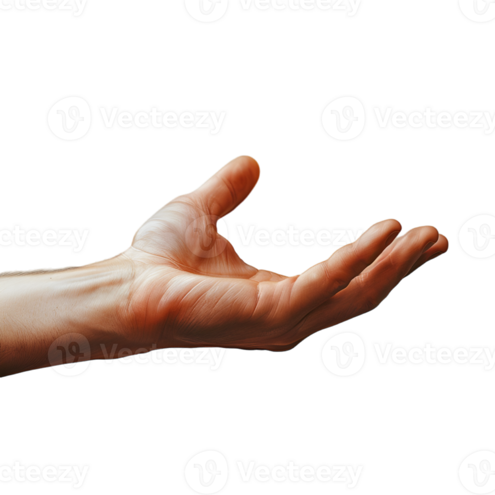 hand gestures on a transparent background png