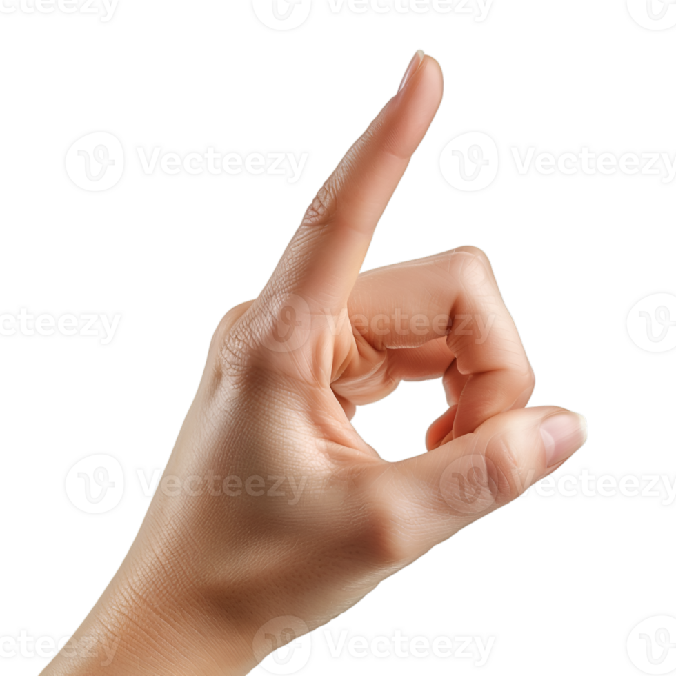 hand gestures on a transparent background png