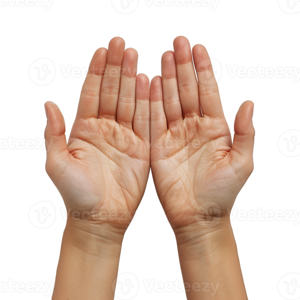 hand gestures on a transparent background png