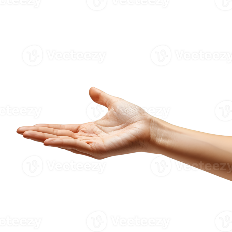 hand gestures on a transparent background png