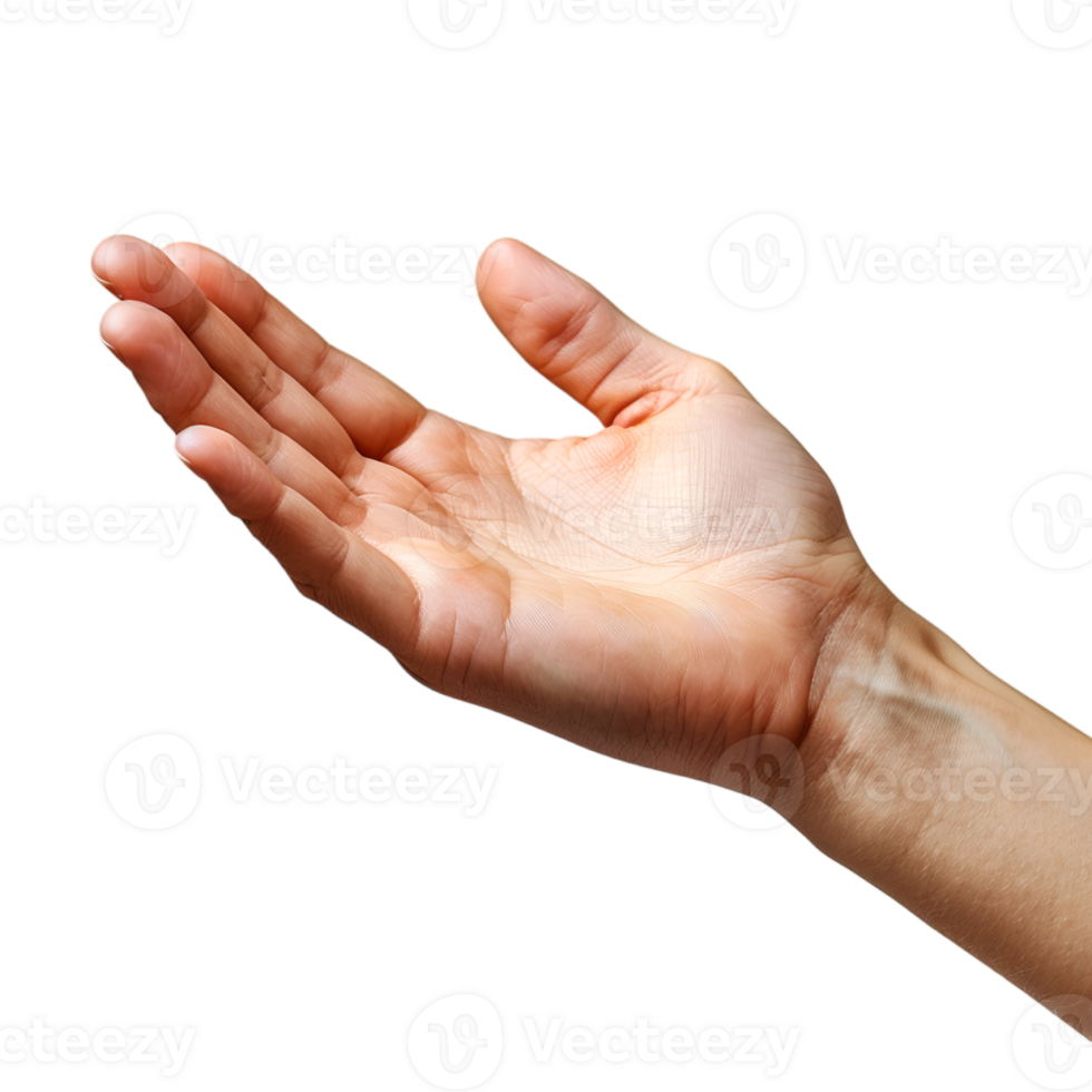 hand gestures on a transparent background png