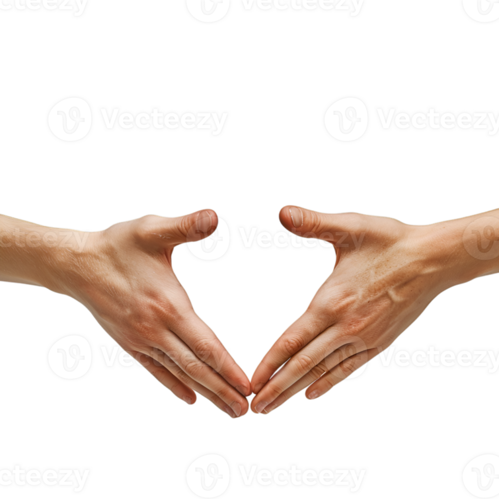 hand gestures on a transparent background png