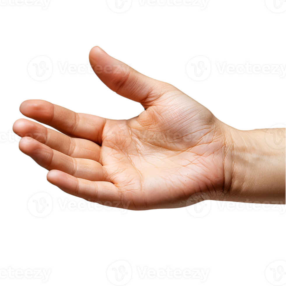 hand gestures on a transparent background png