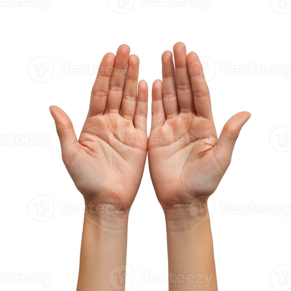 hand gestures on a transparent background png