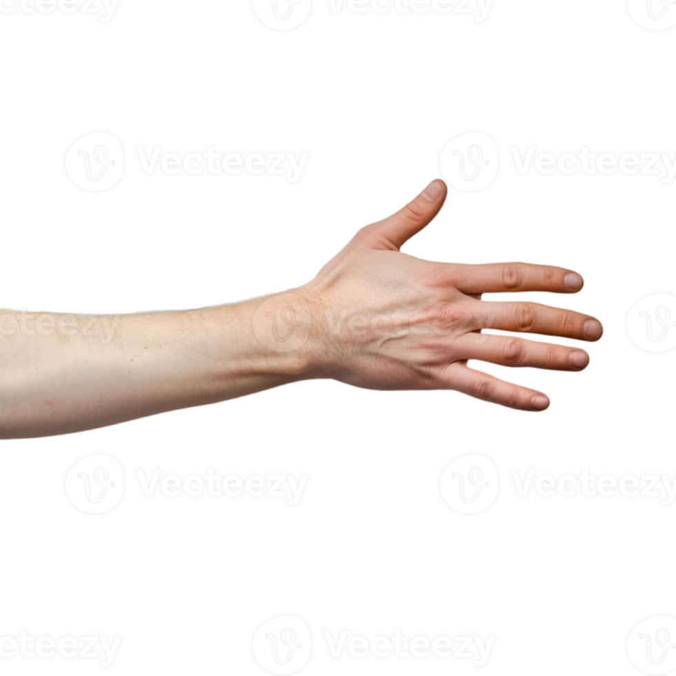 hand gestures on a transparent background png