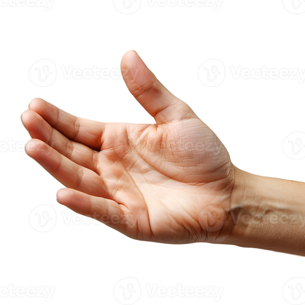 hand gestures on a transparent background png
