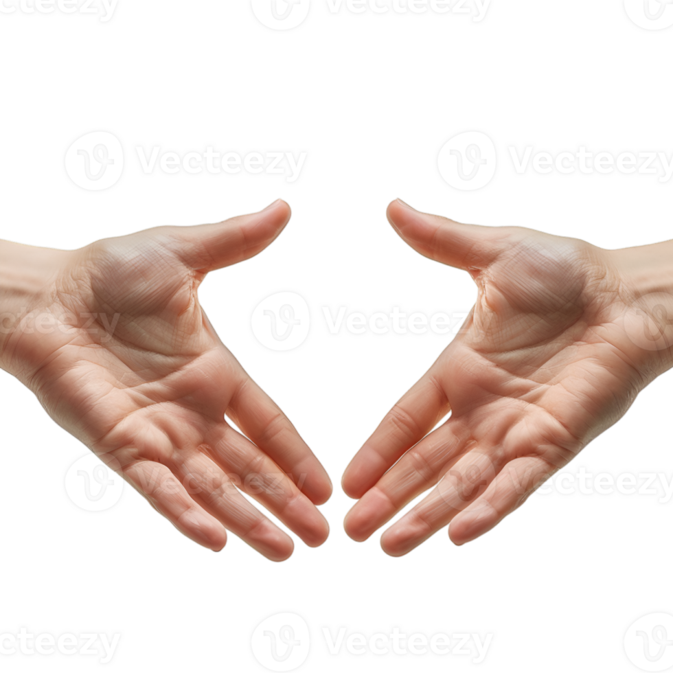 hand gestures on a transparent background png