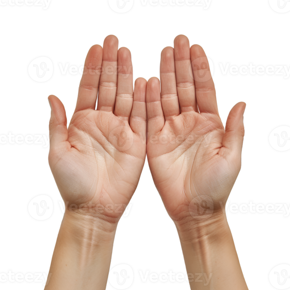 hand gestures on a transparent background png