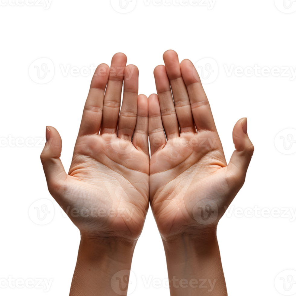 hand gestures on a transparent background png