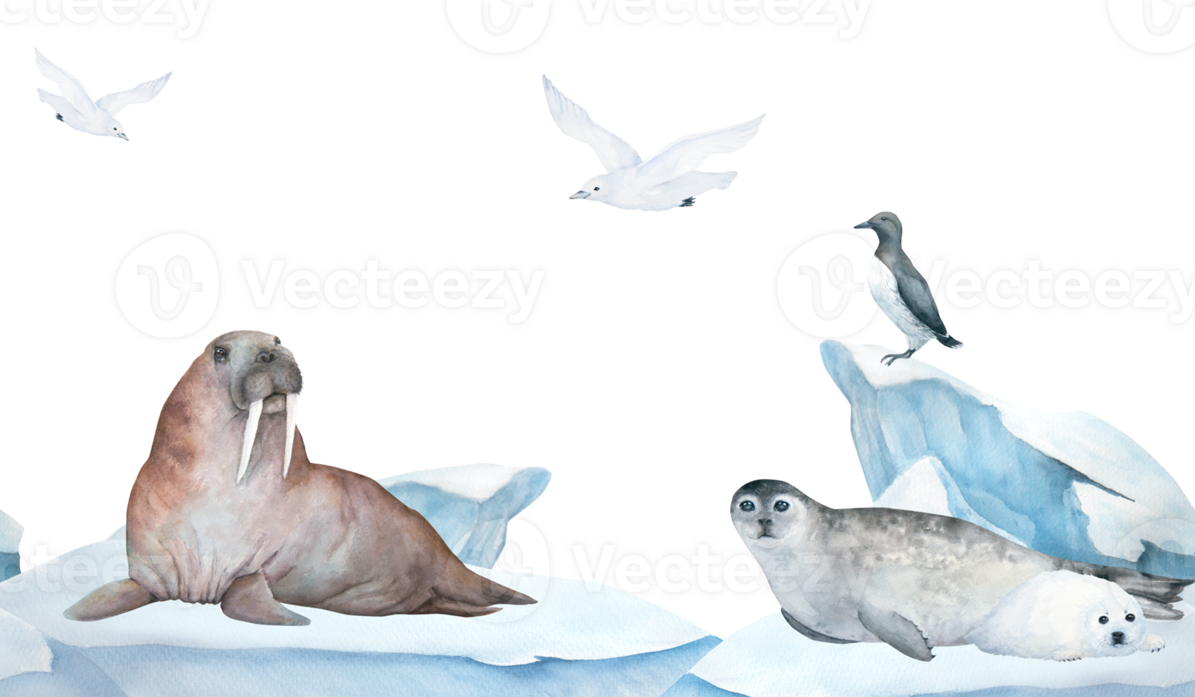 Seamless frame of banner with walrus, seal, guillemot and seagull watercolor illustration on ice , iceberg and blue sea on background. Horizontal format, for children wallpaper and room decor png