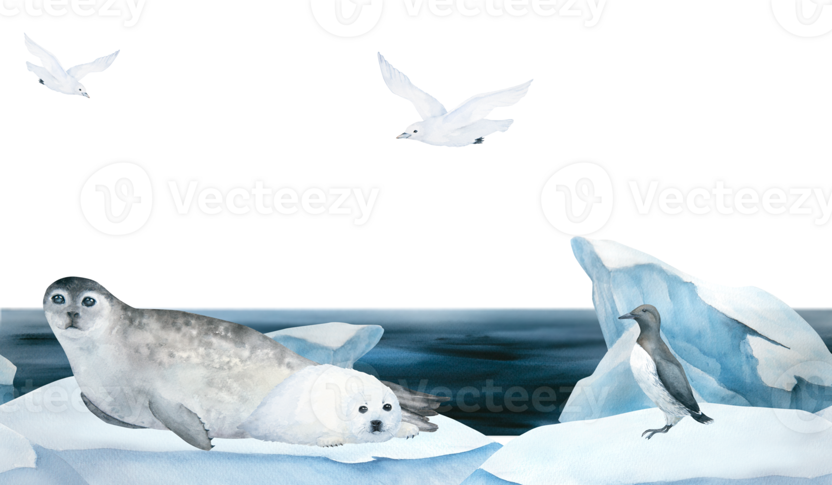 Seamless frame of banner with seal, guillemot and seagull watercolor illustration on ice , iceberg and blue sea on background. Horizontal format, for children wallpaper and room decor png