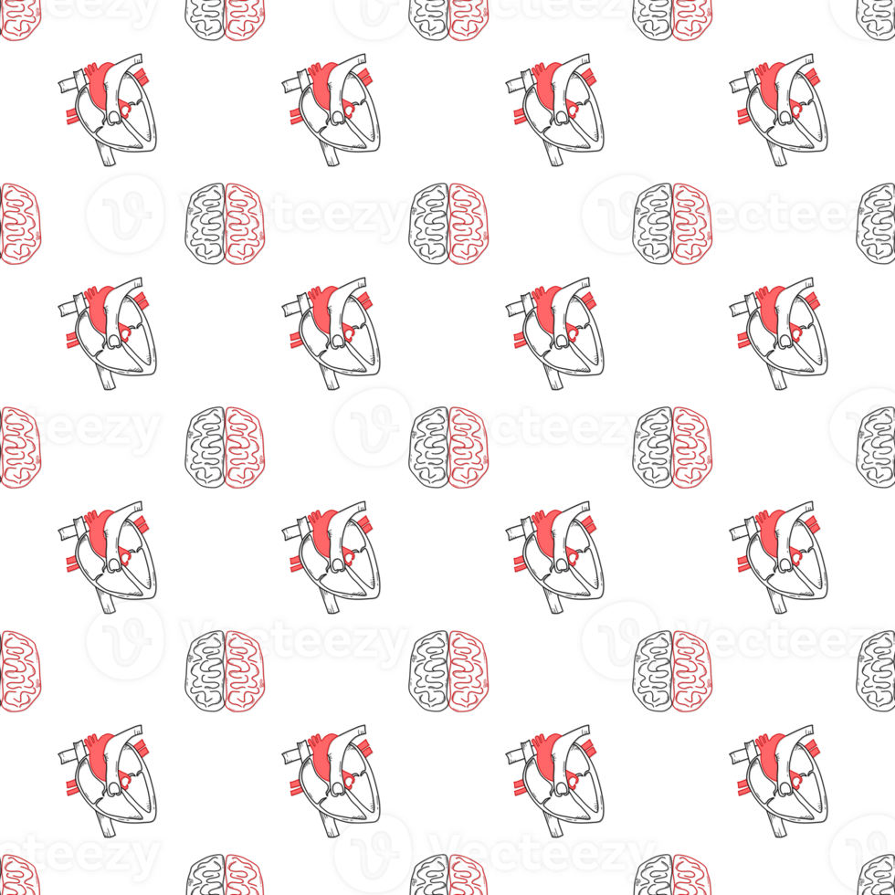 seamless pattern background of anatomy of the heart and brain png