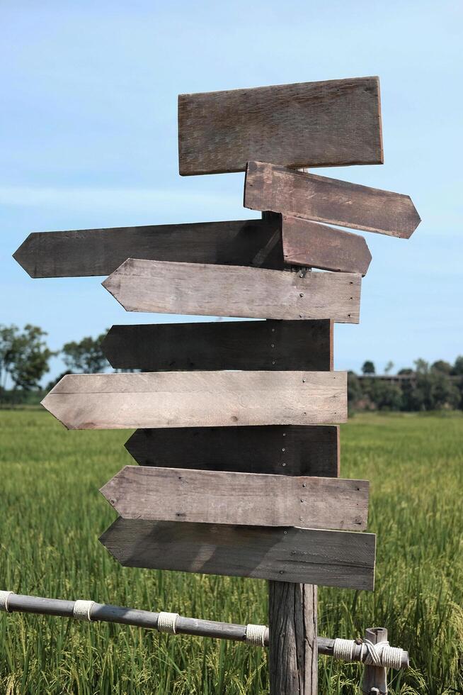 Vintage wood arrow shape sign and symbol for directions in paddy rice and outdoors way photo