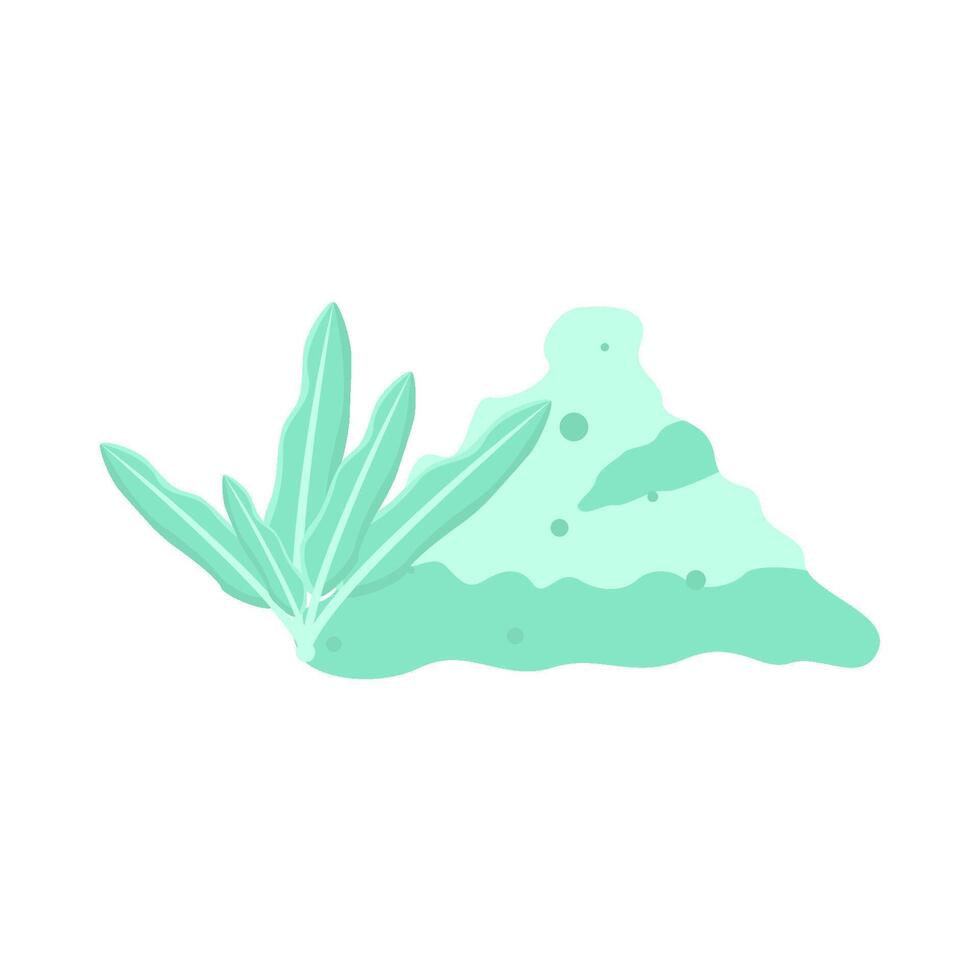 Illustration of herb vector