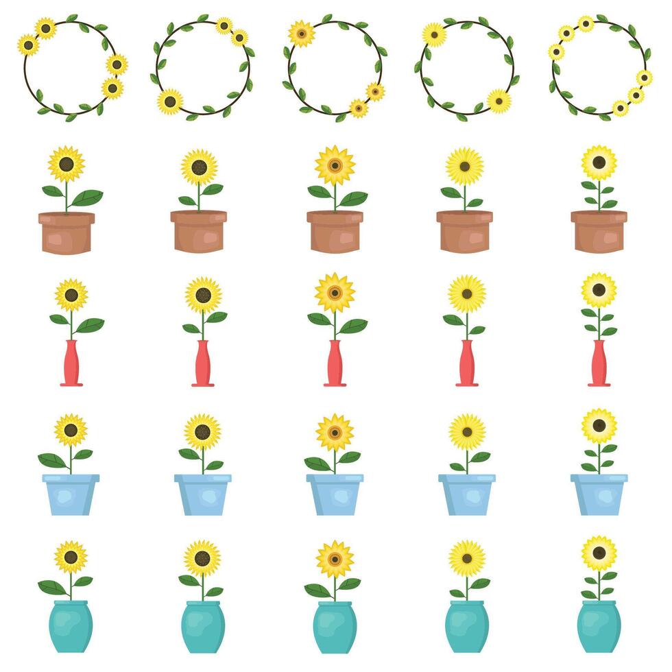 Illustration of sunflower pack vector