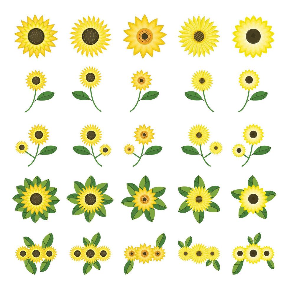 Illustration of sunflower pack vector