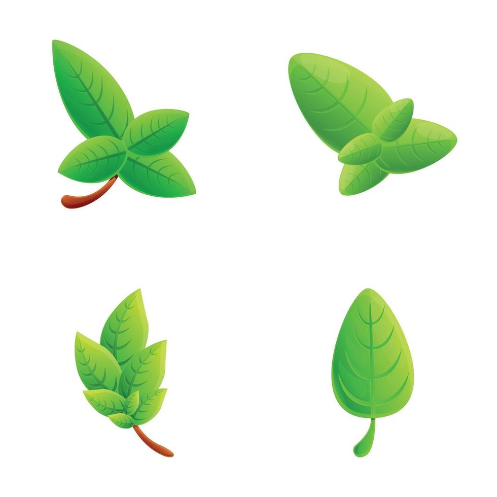 Green basil icons set cartoon . Basil stem with green leaf vector