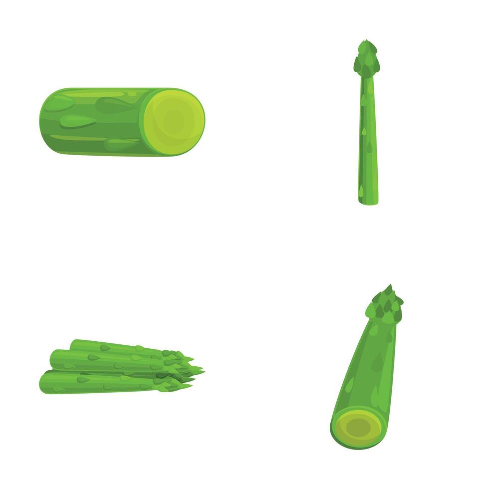 Fresh celery icons set cartoon . Juicy organic green celery vector