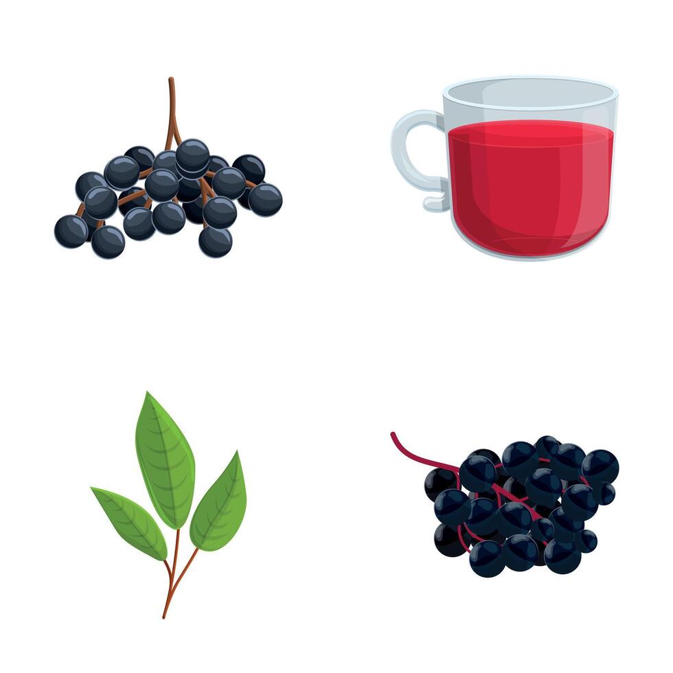 Elderberry syrup icons set cartoon . Black elderberry syrup in glass cup vector
