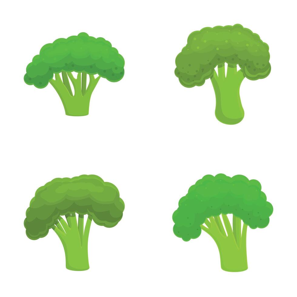 Fresh broccoli icons set cartoon . Green broccoli cabbage on stalk vector