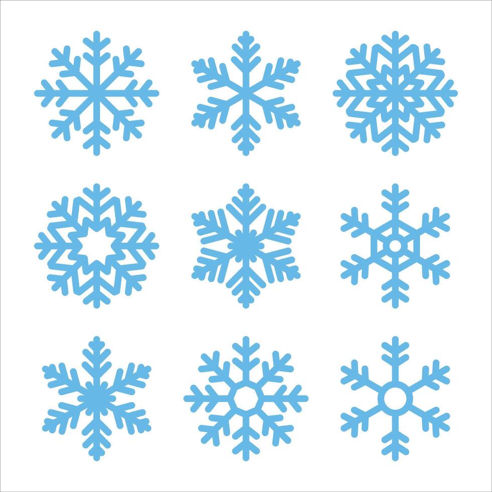 Ice flakes snowflake flake winter christmas snowflakes vector