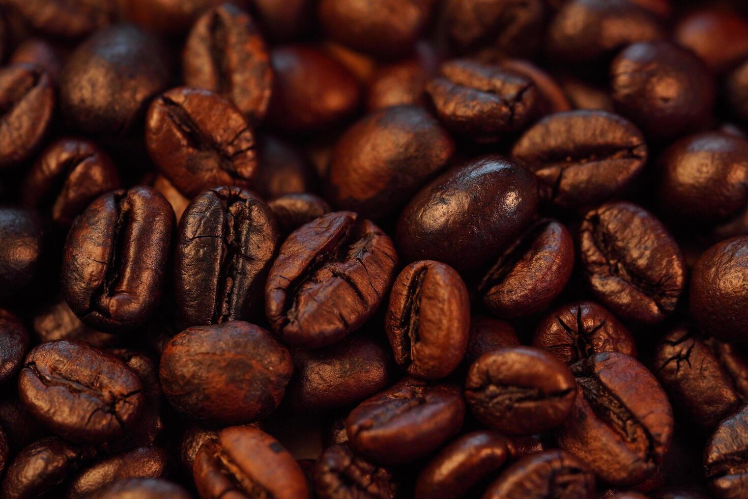 Roasted coffee beans, needle roast, Cafe and coffee shop concept photo
