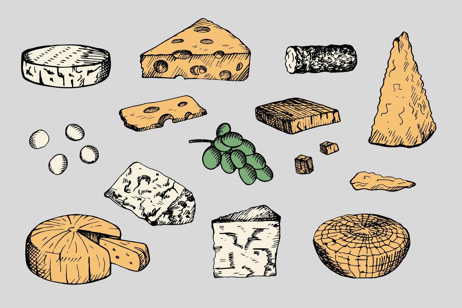 Cheese set engraved illustration. Hand drawn Cheddar ,mozzarella, maasdam, brie, roquefort, gouda, feta, Parmesan, curd milk products. Design graphic elements for menu, card, print, logo, paper vector