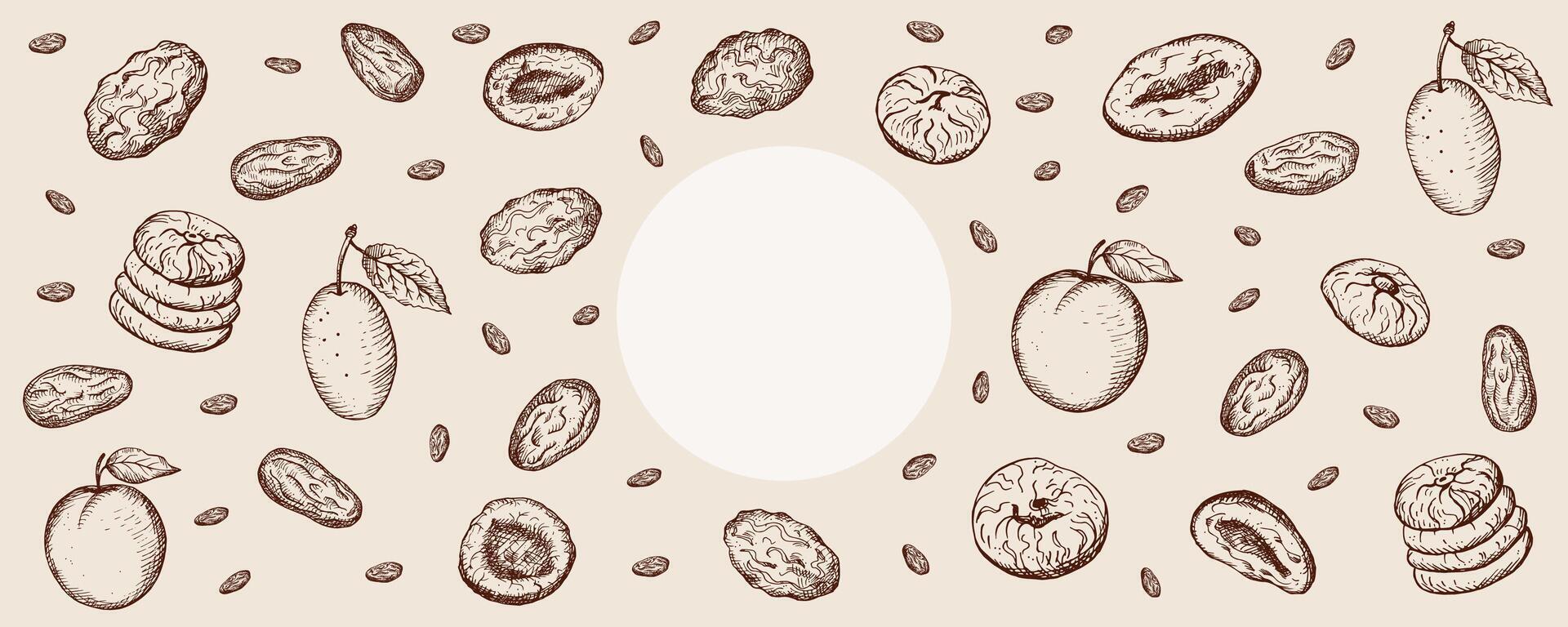 Dried fruits banner frame design illustration. Engraved vintage dehydrated fruits, oriental dried dessert with fig, apricot, dates, prune, raisin. Food graphic for template, menu, card, sign vector