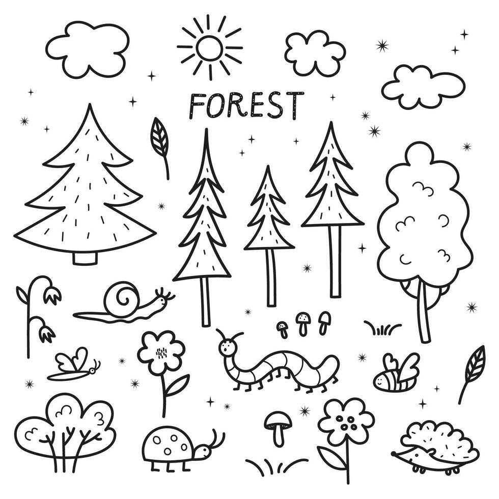Forest doodle hand drawn pine trees, coniferous, spruce, flowers, plants, bushes, grass, mushrooms, butterfly, caterpillar, hedgehog, bumblebee, snail. Decorative pattern isolated background vector