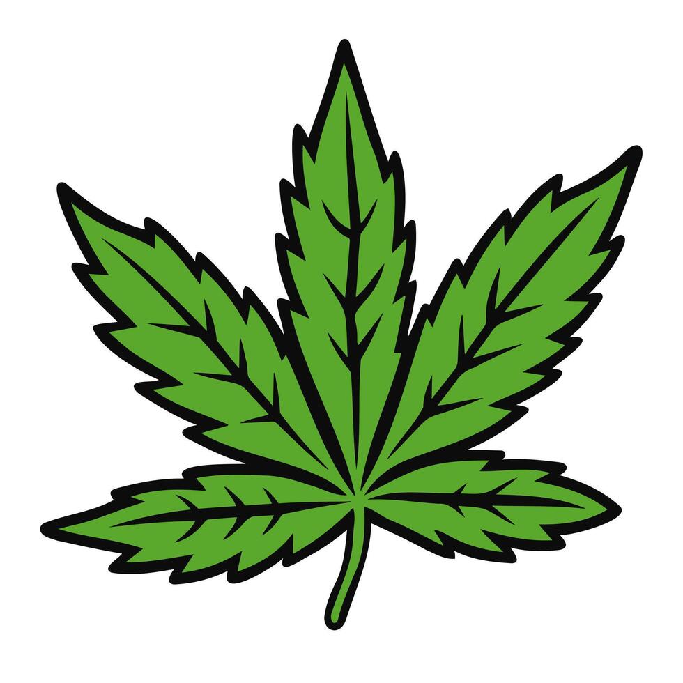 Hand Drawn Green Cannabis, Hemp, Marijuana Leaf icon vector
