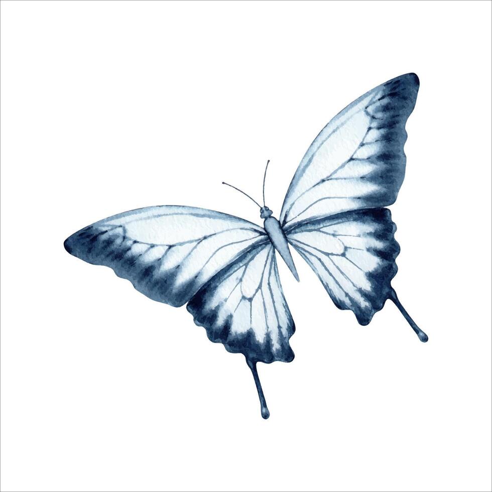 Blue butterfly in blur monochromatic color. Elegant realistic Australian Ulysses Swallowtail moth. Watercolor illustration isolated on white background. Hand drawn insect animal book or card designs vector