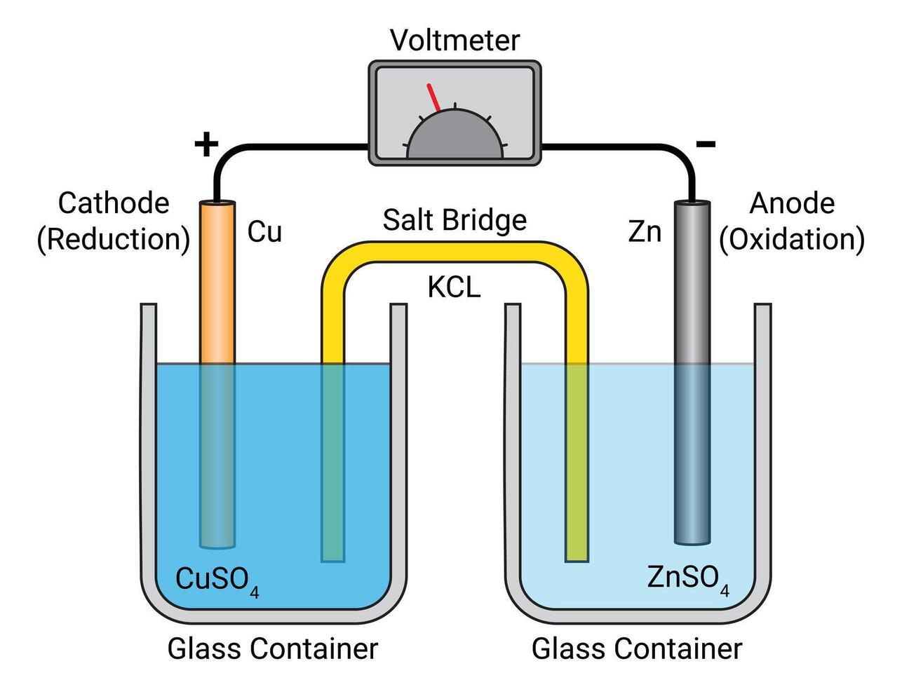 Salt Bridge Diagram vector