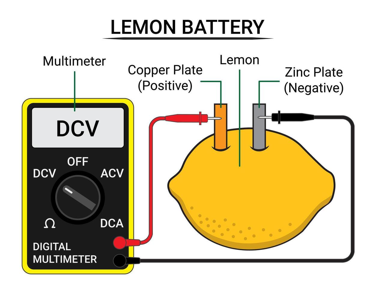 Measure the Lemon Battery Voltage Using a Multimeter vector