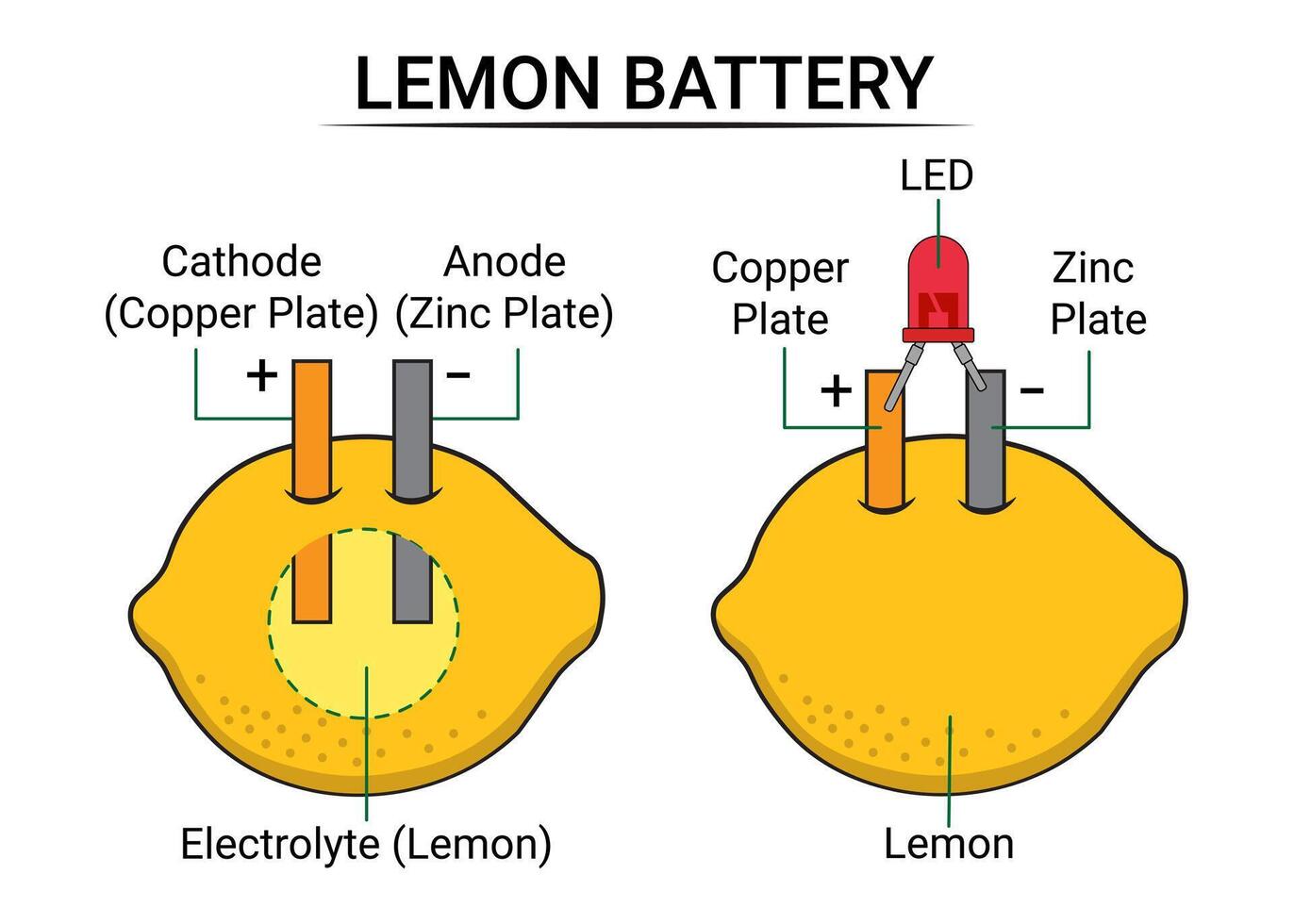 Parts of a Lemon Battery vector