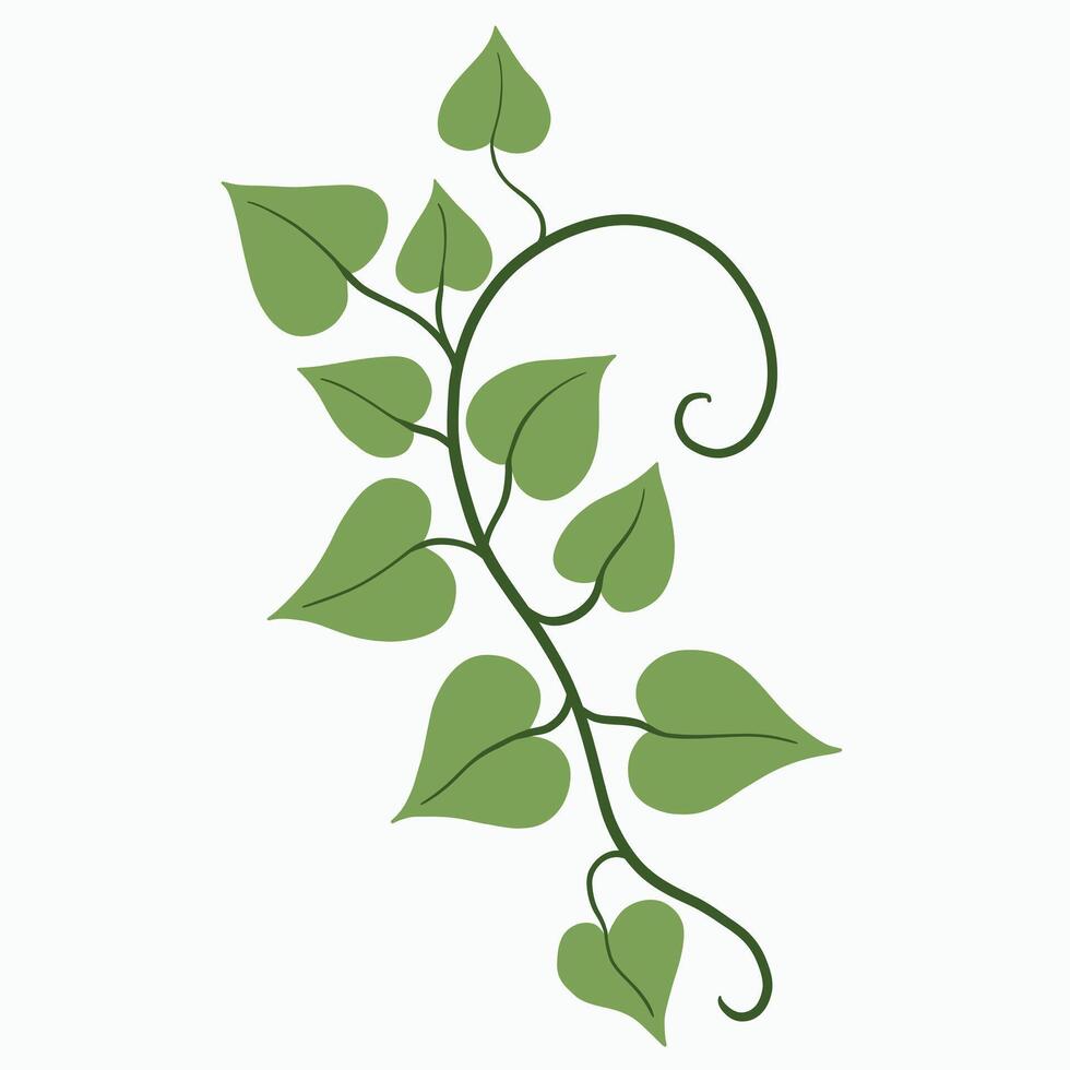 Floral ivy drawing decorative ornament flat design. vector