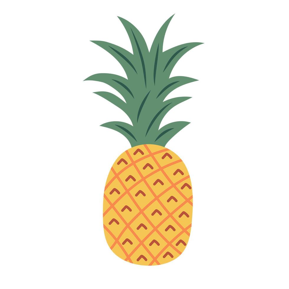 Pineapple with leaf. Tropical fruit. illustration isolated on white background. vector
