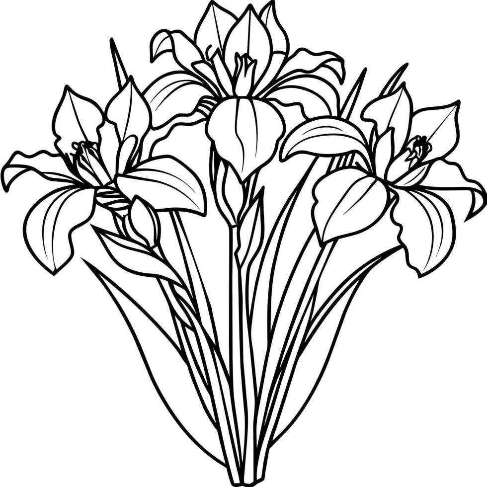 Iris Flower Bouquet outline illustration coloring book page design, Iris Flower Bouquet black and white line art drawing coloring book pages for children and adults vector