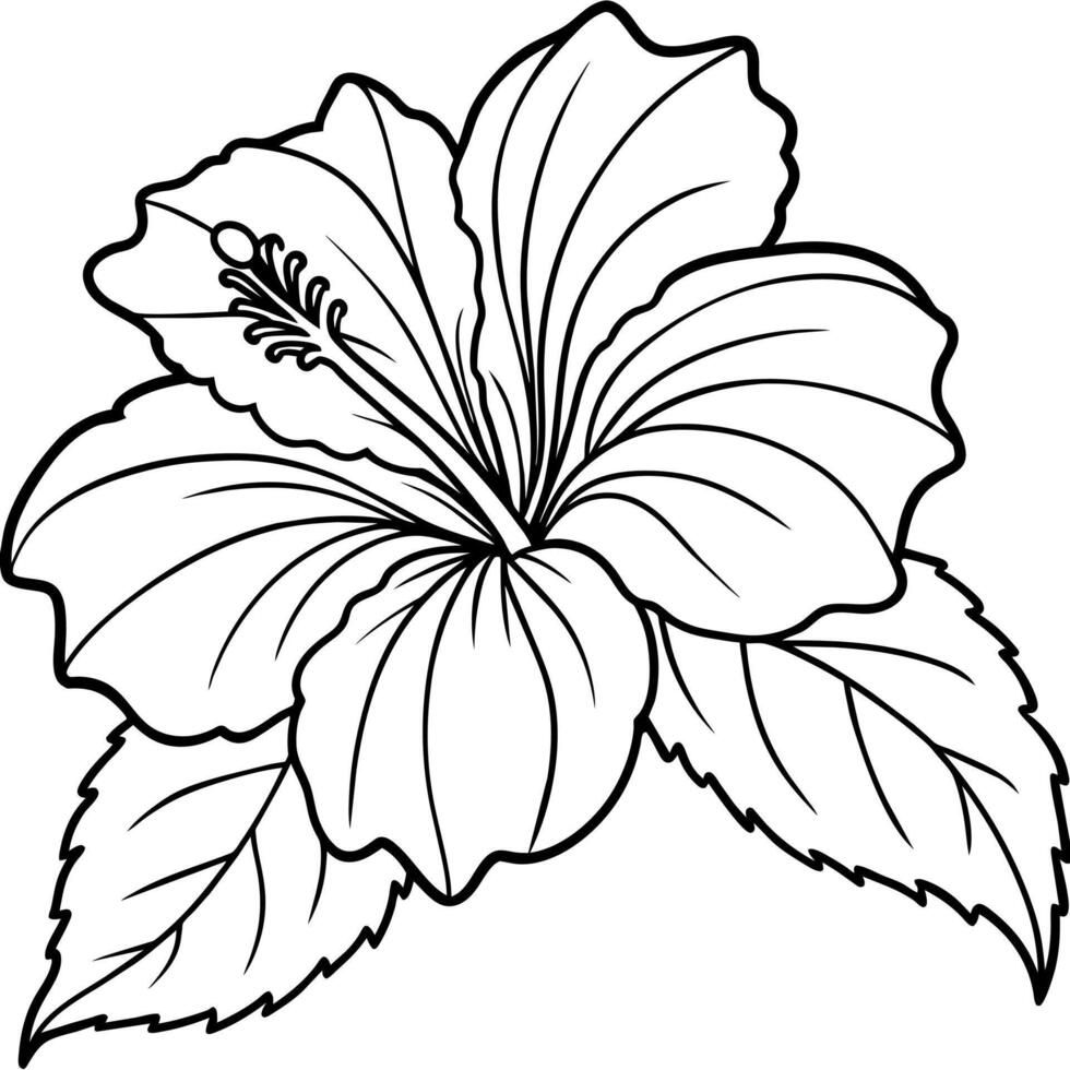 Hibiscus flower plant illustration coloring book page design, Hibiscus Hibiscus flower plant and white line art drawing coloring book pages for children and adults vector