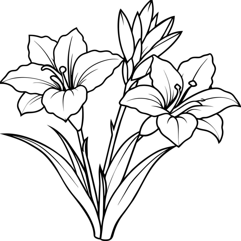 Gladiolus flower plant outline illustration coloring book page design, Gladiolus flower plant black and white line art drawing coloring book pages for children and adults vector