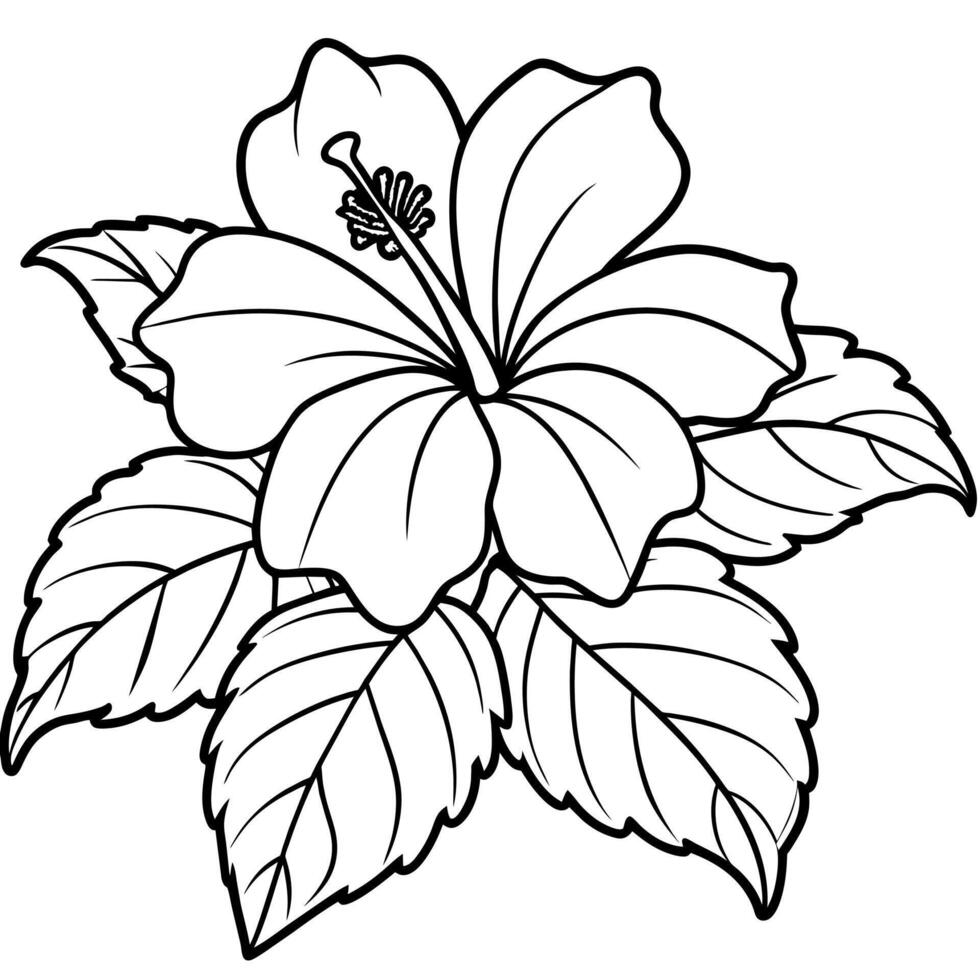 Hibiscus flower plant illustration coloring book page design, Hibiscus Hibiscus flower plant and white line art drawing coloring book pages for children and adults vector