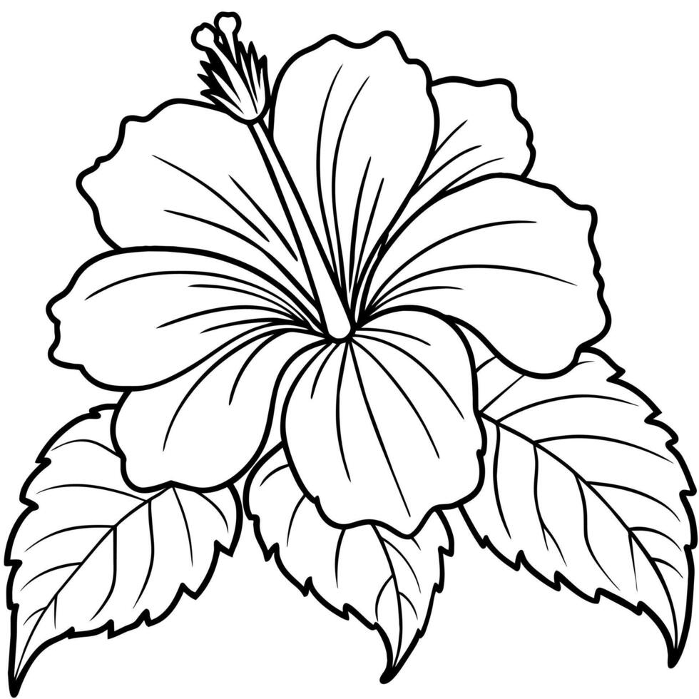 Hibiscus flower plant illustration coloring book page design, Hibiscus Hibiscus flower plant and white line art drawing coloring book pages for children and adults vector