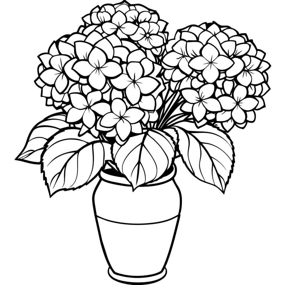 Hydrangea Flower on the vase outline illustration coloring book page design, Hydrangea Flower on the vase black and white line art drawing coloring book pages for children and adults vector