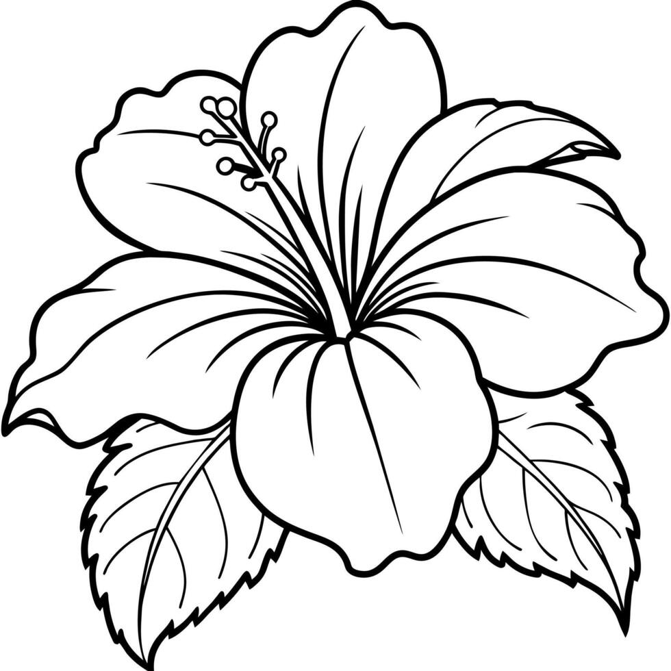 Hibiscus flower plant illustration coloring book page design, Hibiscus Hibiscus flower plant and white line art drawing coloring book pages for children and adults vector