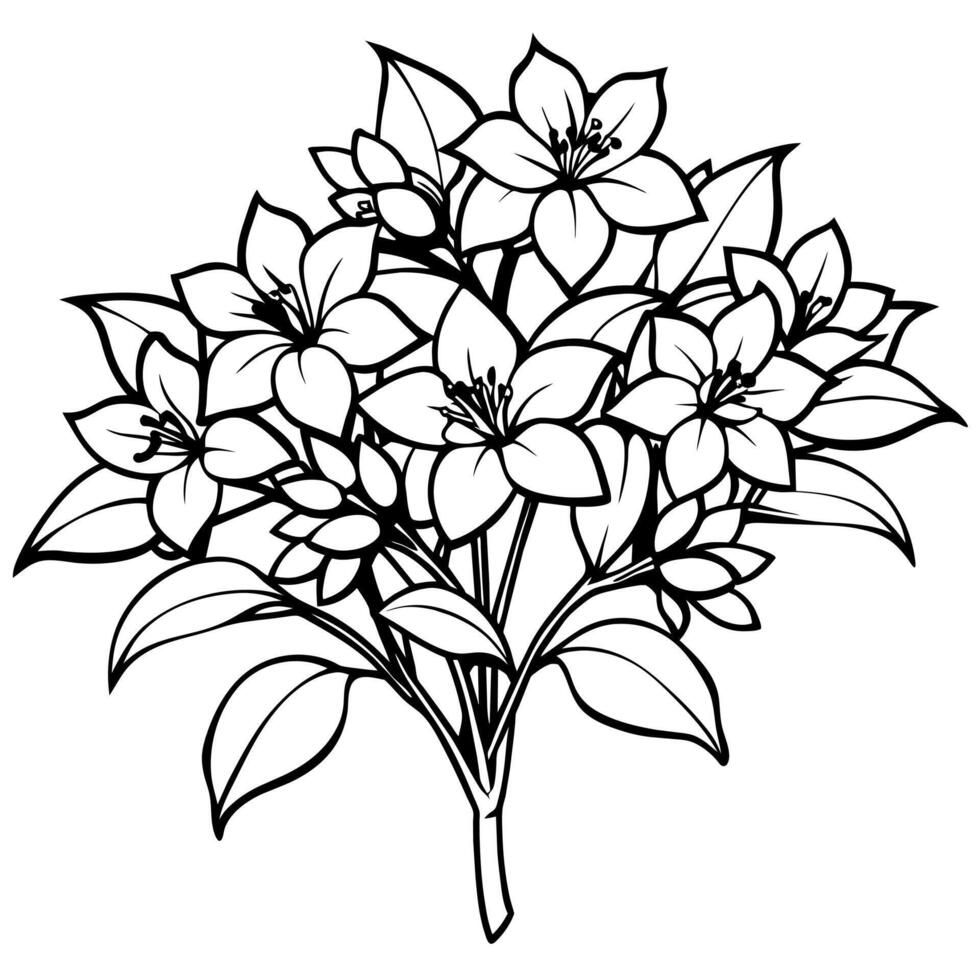 Jasmine Flower Bouquet outline illustration coloring book page design, Jasmine Flower Bouquet black and white line art drawing coloring book pages for children and adults vector